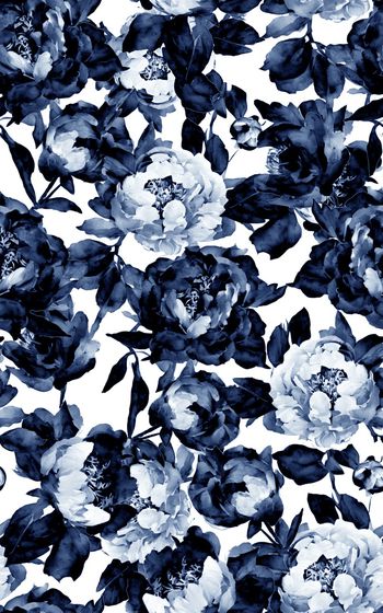 1525634-2260x40009-2