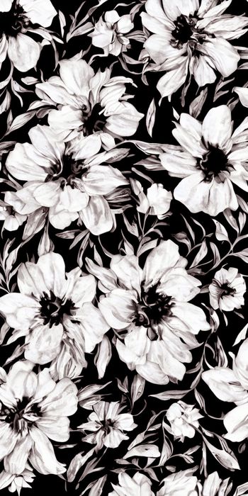 1525666-20215075130-1