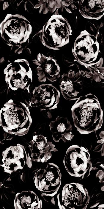 1525682-20215075132-1