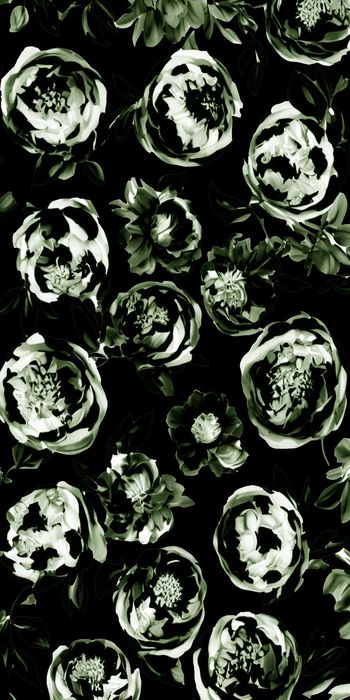 1525683-20215075132-2