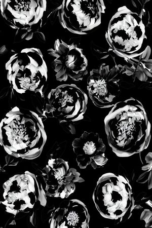 黑白华亿平台印花华亿平台图片