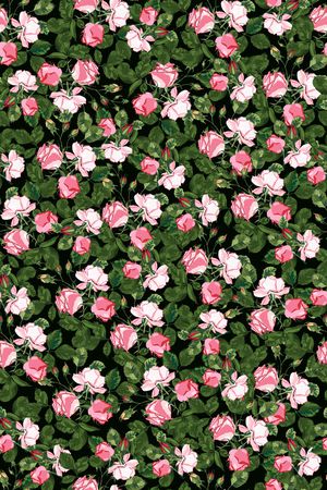 女装印花华亿平台图片