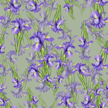 1526256-20230131-水彩花卉-1-