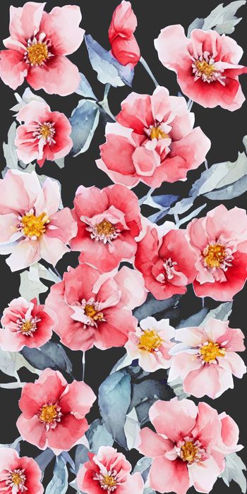 1526491-20215075160-2