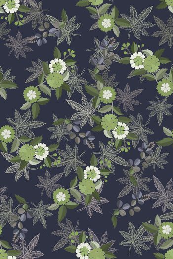 1526688-花卉20153-3