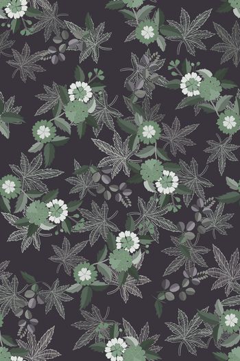 1526689-花卉20153-4