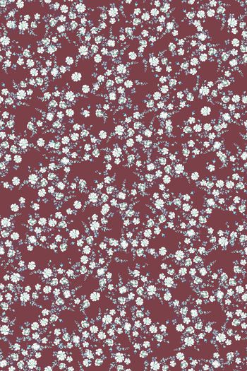 1526692-花卉20154-3