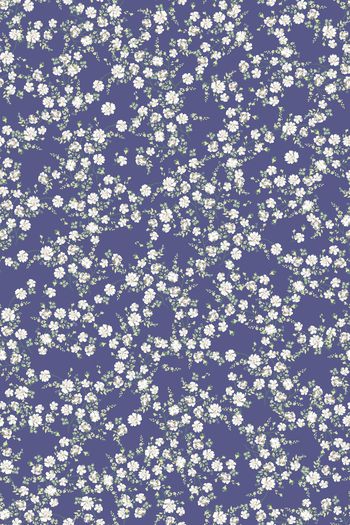 1526693-花卉20154-4