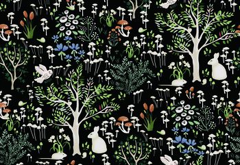 兔子印花华亿平台图片