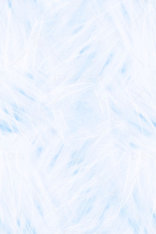 羽毛印花华亿平台图片