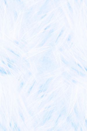 羽毛印花华亿平台图片