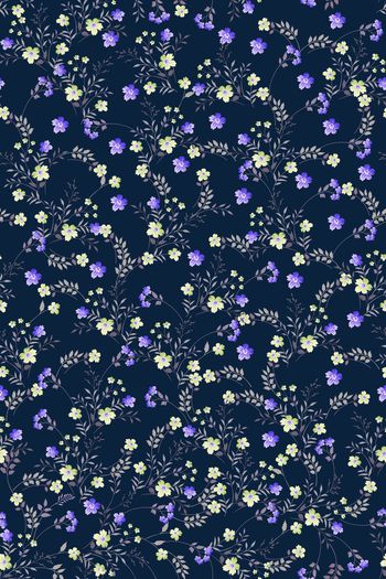 1527298-花卉20158-4