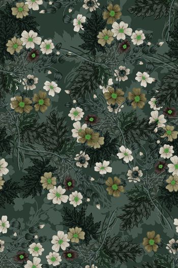 1527301-花卉20159-3