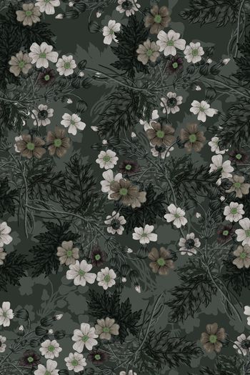 1527302-花卉20159-4