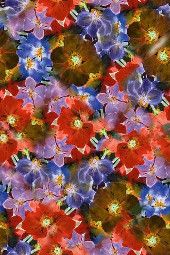 1527531-JX20230016-5