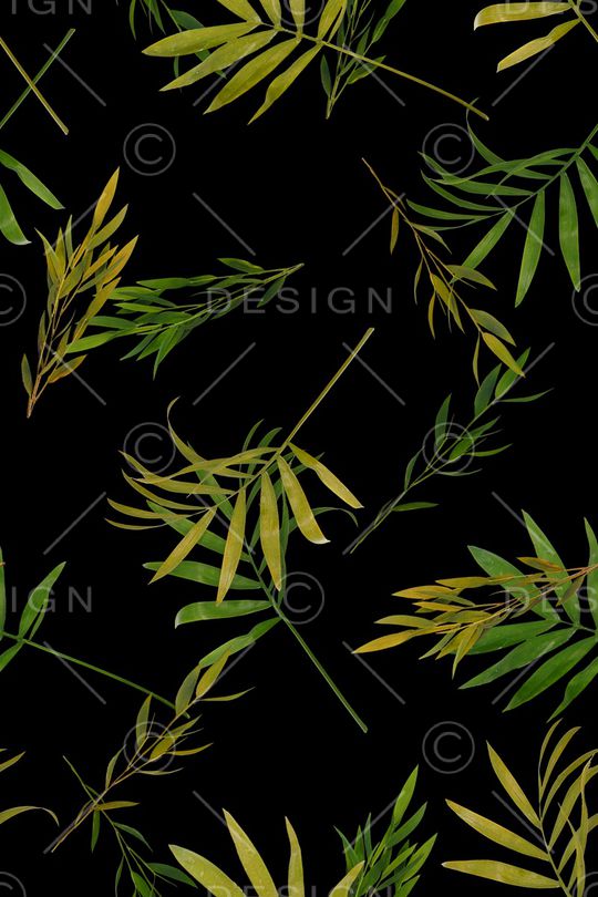 女装印花华亿平台图片