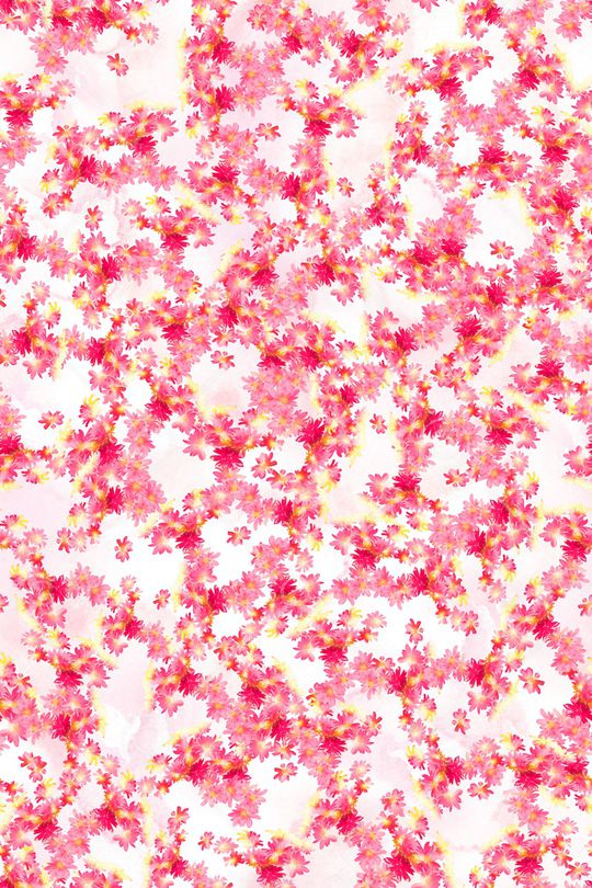 清爽底花卉印花华亿平台图片