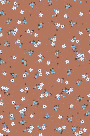 1527718-花卉20160-2