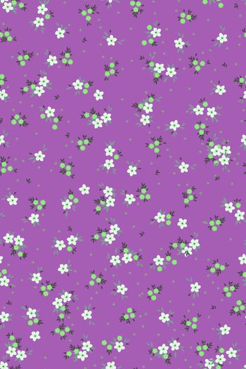 1527721-花卉20160-4