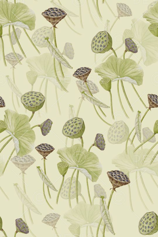 荷花印花华亿平台图片