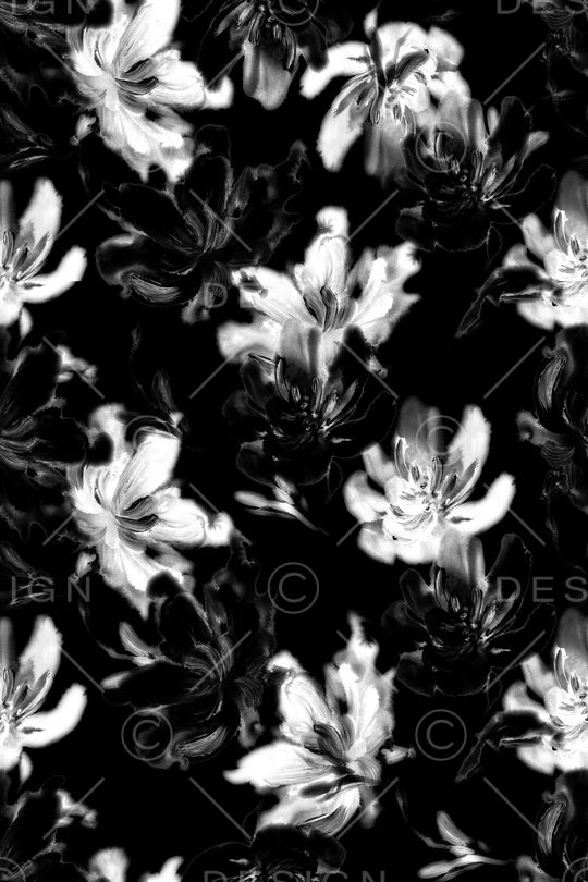 真丝印花华亿平台图片