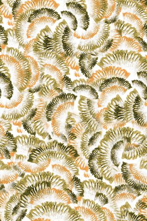 年轻女性印花华亿平台图片