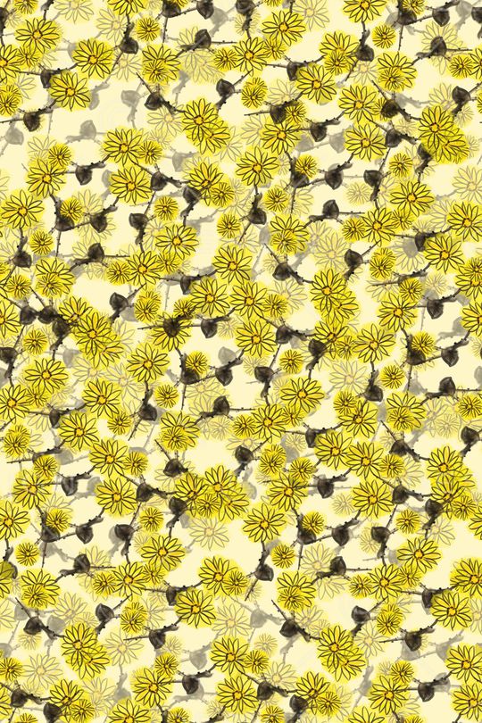 女装印花华亿平台图片