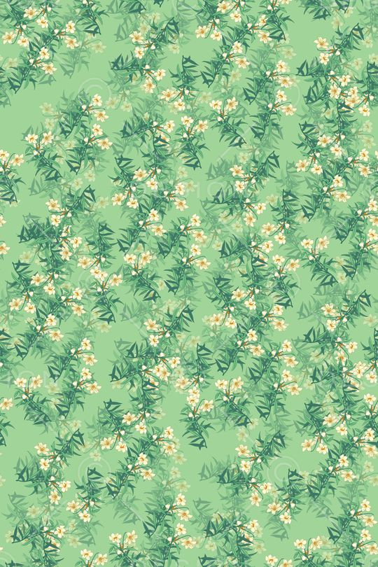 女装印花华亿平台图片