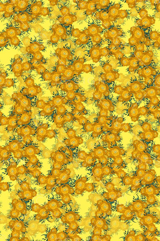 女装印花华亿平台图片