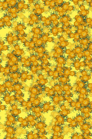 女装印花华亿平台图片