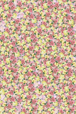 春夏华亿平台印花华亿平台图片