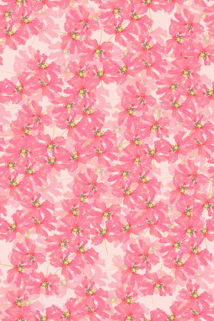 春夏华亿平台印花华亿平台图片