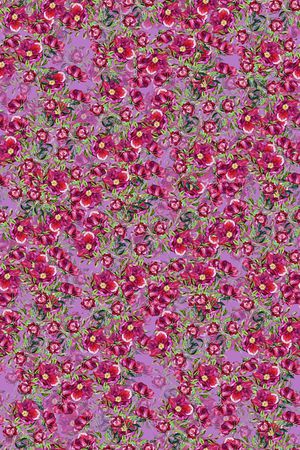 春夏华亿平台印花华亿平台图片