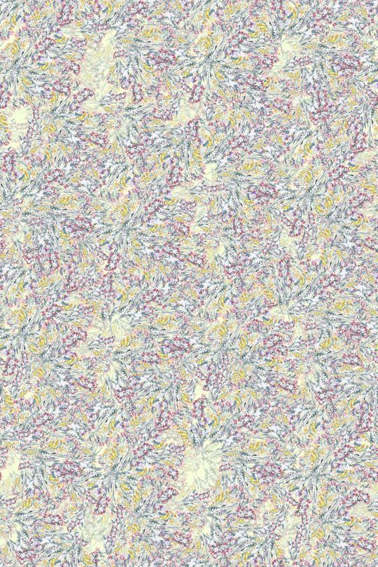 春夏华亿平台印花华亿平台图片