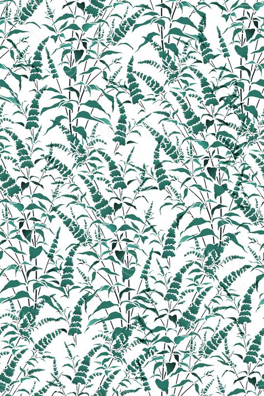 春夏华亿平台印花华亿平台图片