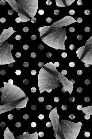 黑白华亿平台印花华亿平台图片