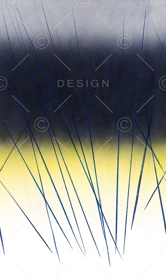 渐变印花华亿平台图片