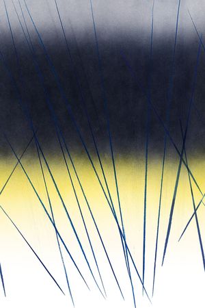 渐变印花华亿平台图片