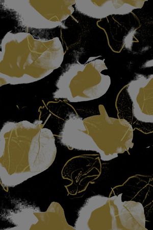 女装印花华亿平台图片