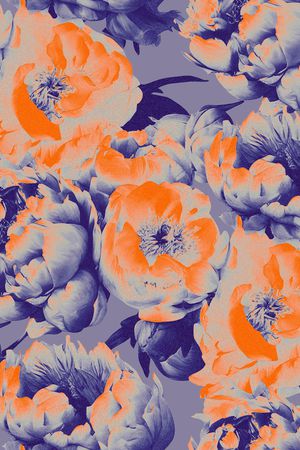 牡丹印花华亿平台图片