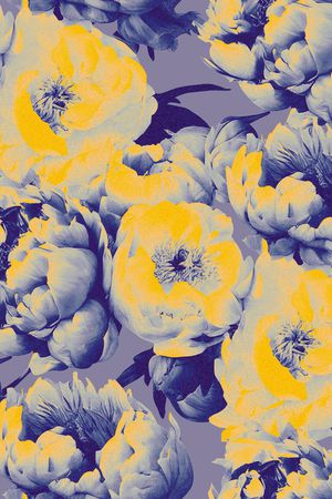 牡丹印花华亿平台图片