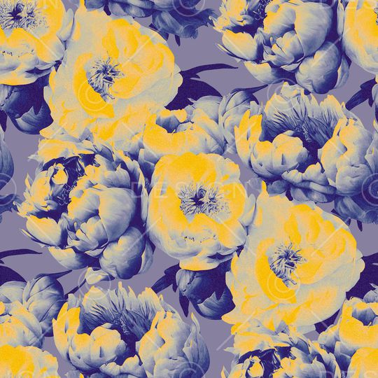 牡丹印花华亿平台图片