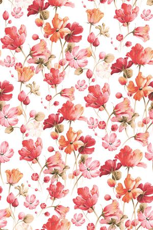 年轻女性印花华亿平台图片