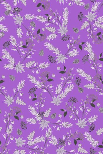 1528864-花卉20165-2