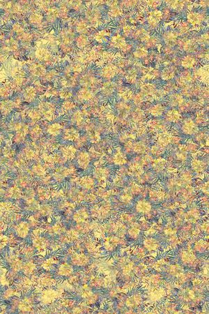 春夏华亿平台印花华亿平台图片