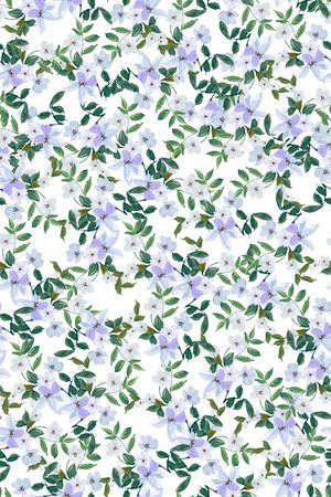 女装印花华亿平台图片