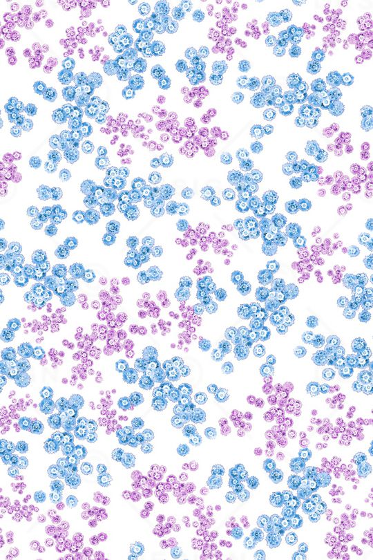 小清新印花华亿平台图片