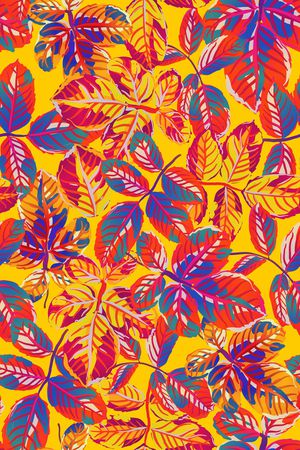 年轻女性印花华亿平台图片