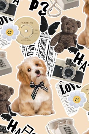 可爱萌宠印花华亿平台图片