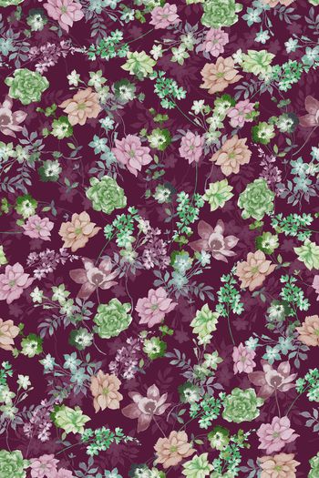 1529330-花卉20168-4